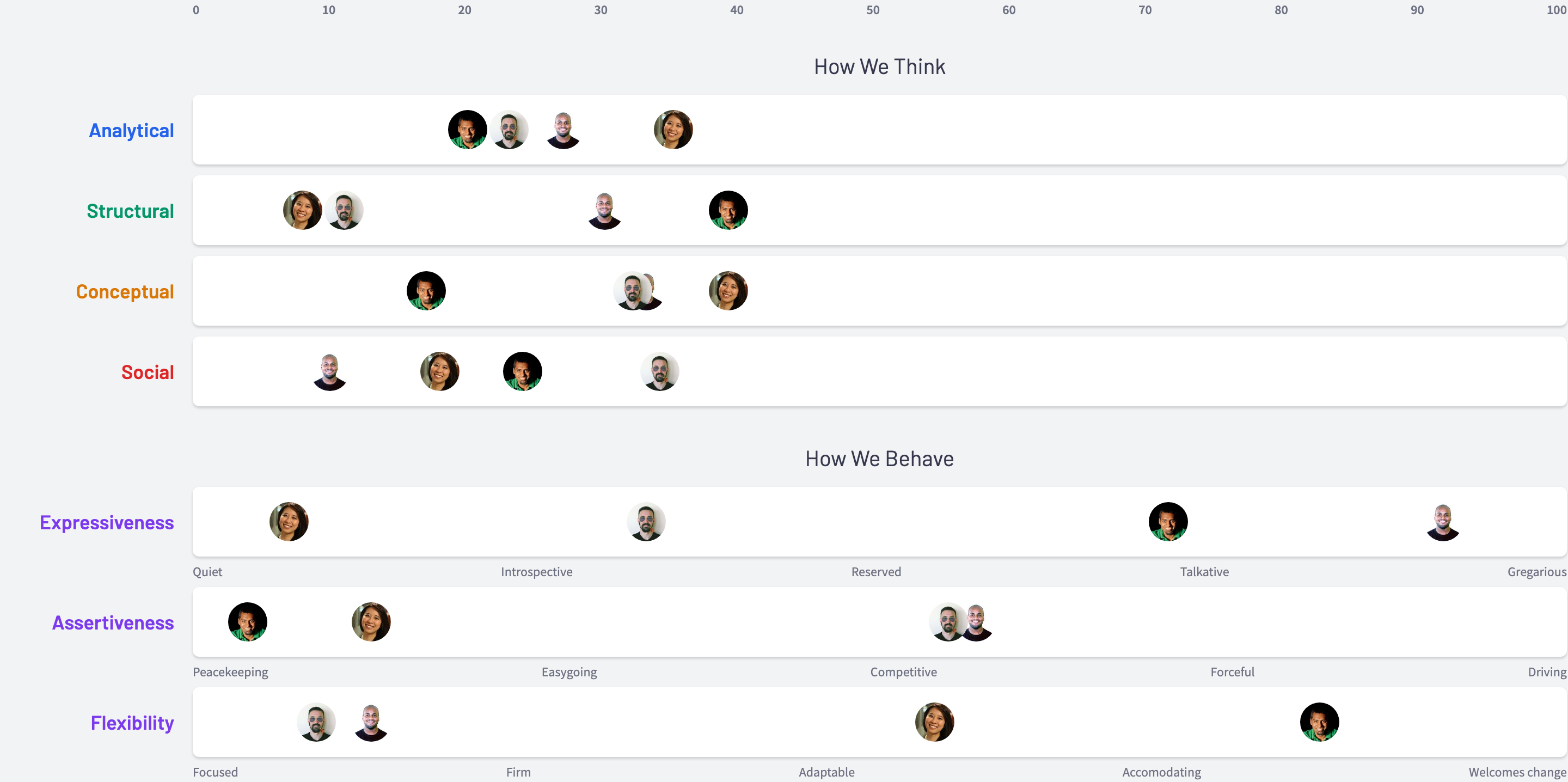 Screenshot of Emergenetics Explorer